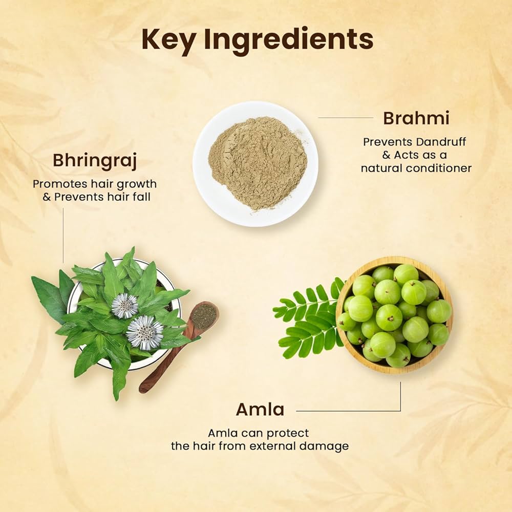 Jamalgota Ayurvedic Hair Growth Powder – 100gm | Natural Hair Regrowth & Scalp Treatment